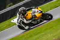Advanced Group Yellow Bikes